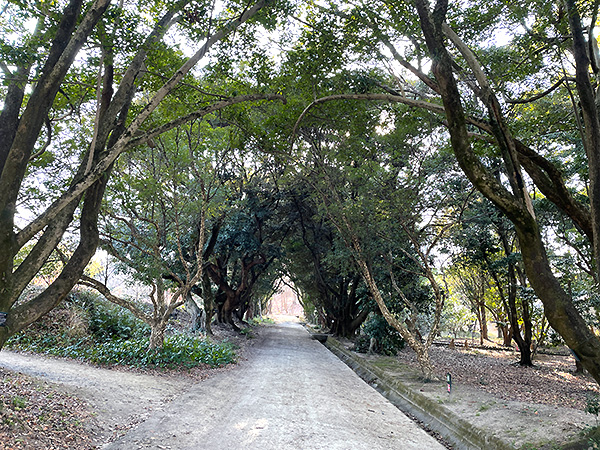 日本産樹林見本園