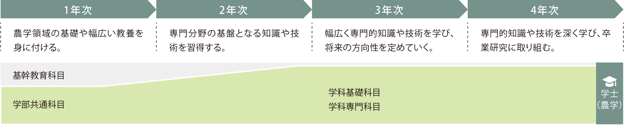 ４年間の流れ