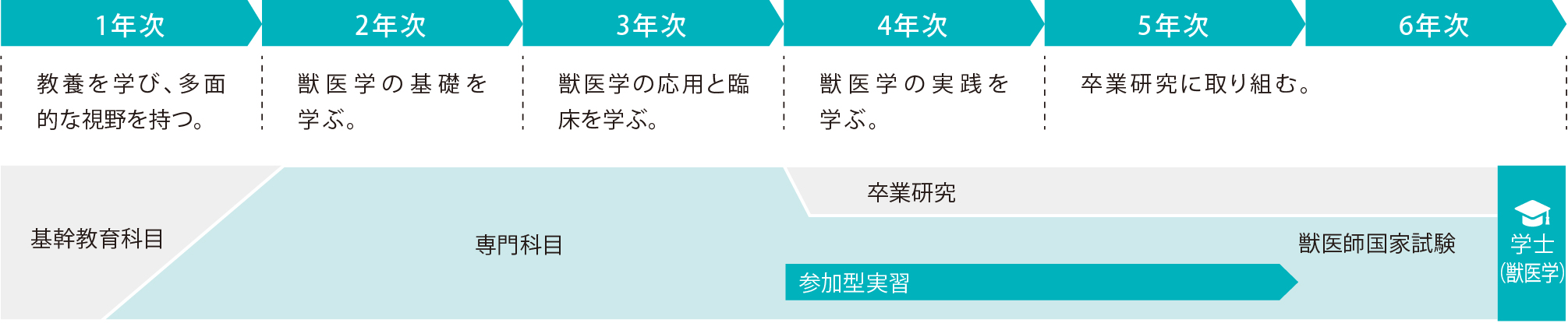 ４年間の流れ