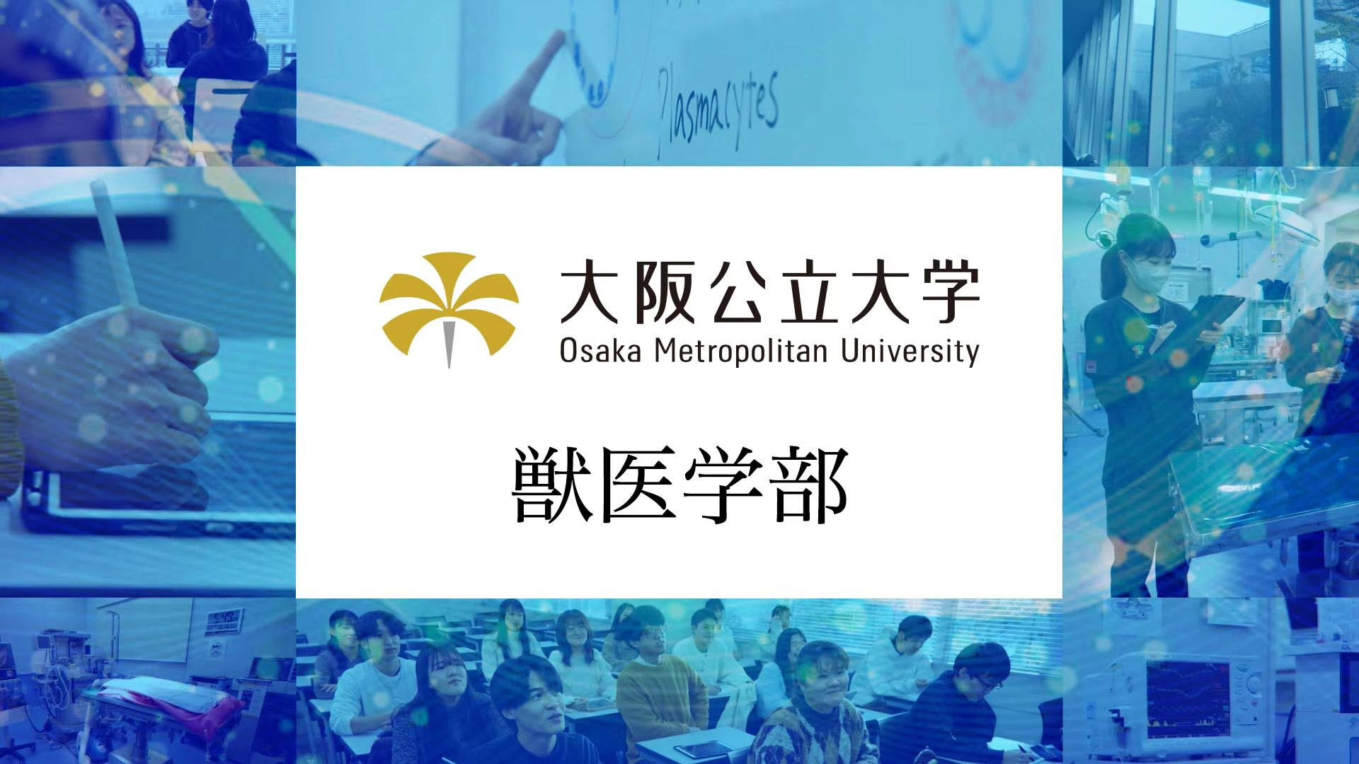 サムネイル 大阪公立大学 獣医学部