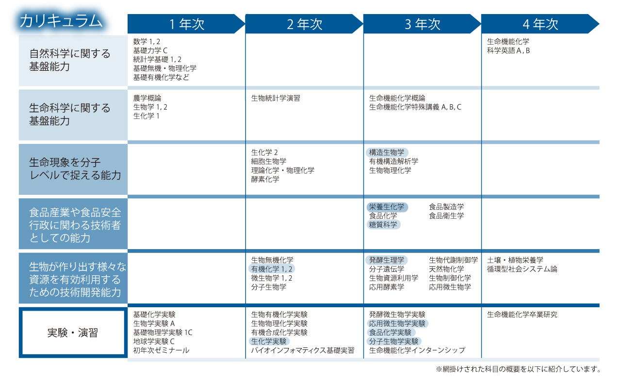 curriculum_kino_2026_HP1200