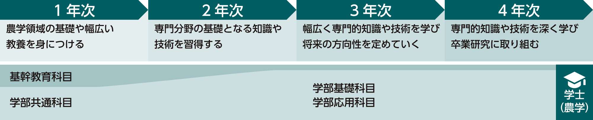 4年間の学びの流れ