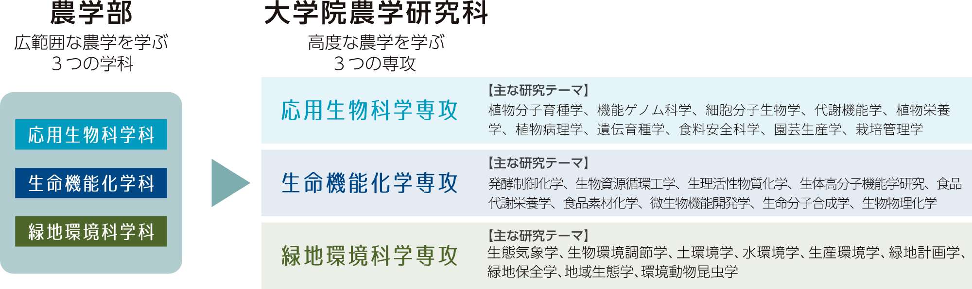 大学院進学について