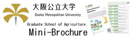 Mini-Brochure