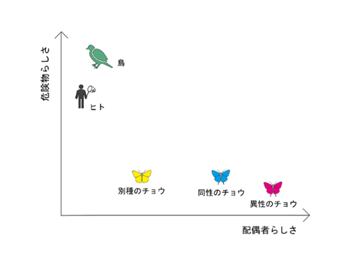 チョウの認知機構における新たな理論を提唱～チョウの性認識・種認識研究を再検討～