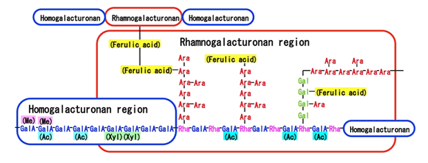 research02