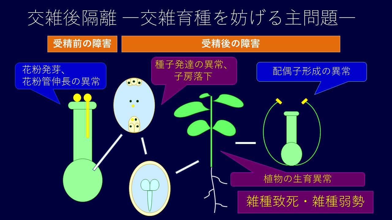 生殖隔離1.JPG