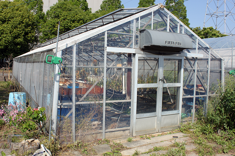 Greenhouse2