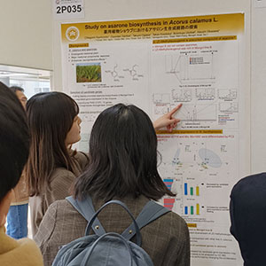 JSPP2025_02