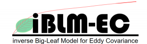Logo-iBLM-EC-300x50-300x91