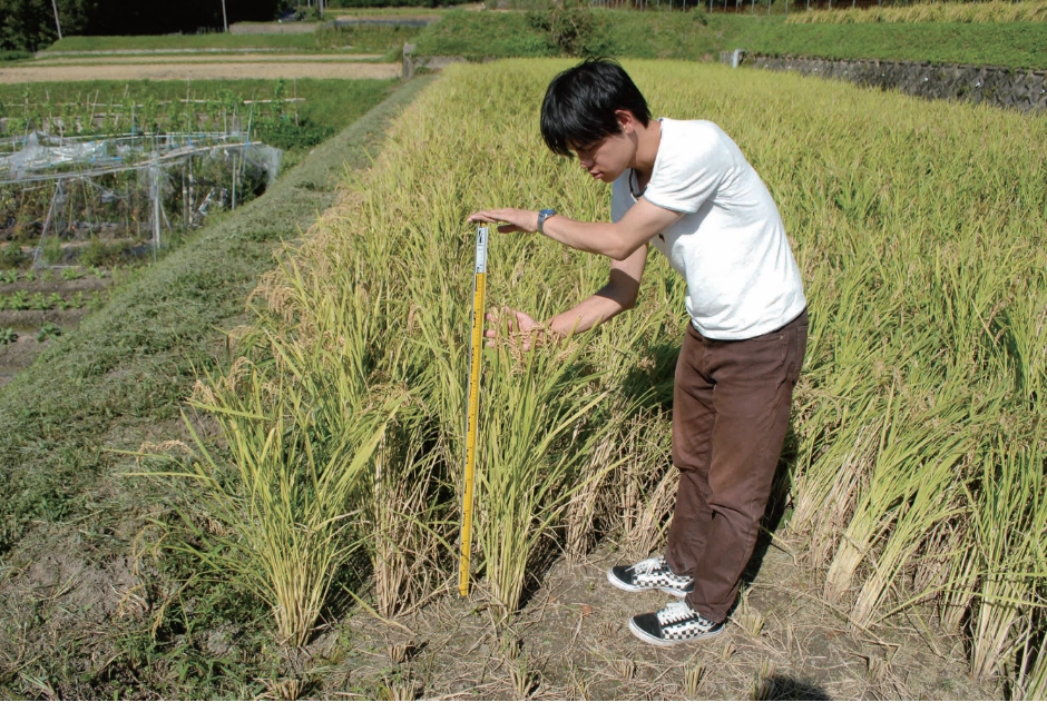 Laboratory of Crop Production Science