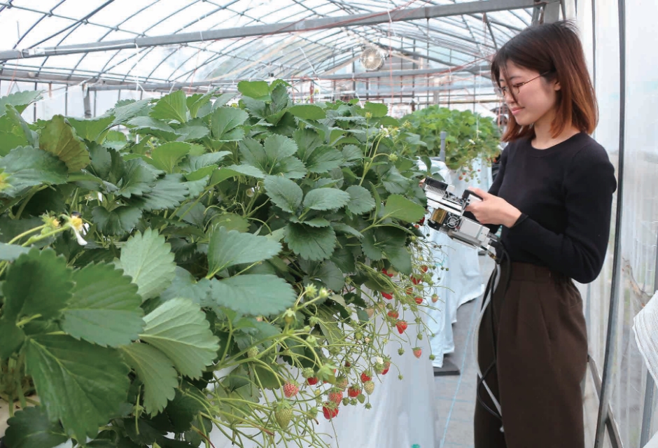 Laboratory of Horticultural Sciences