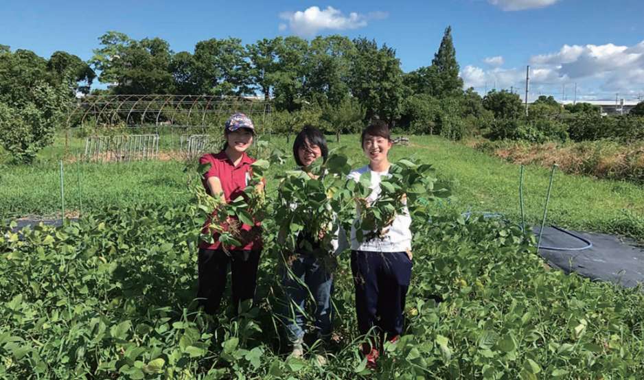 Practice in Agricultural Field