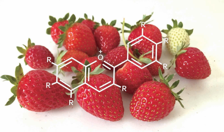 Food Chemistry