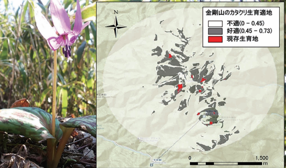 Landscape Ecology and Management