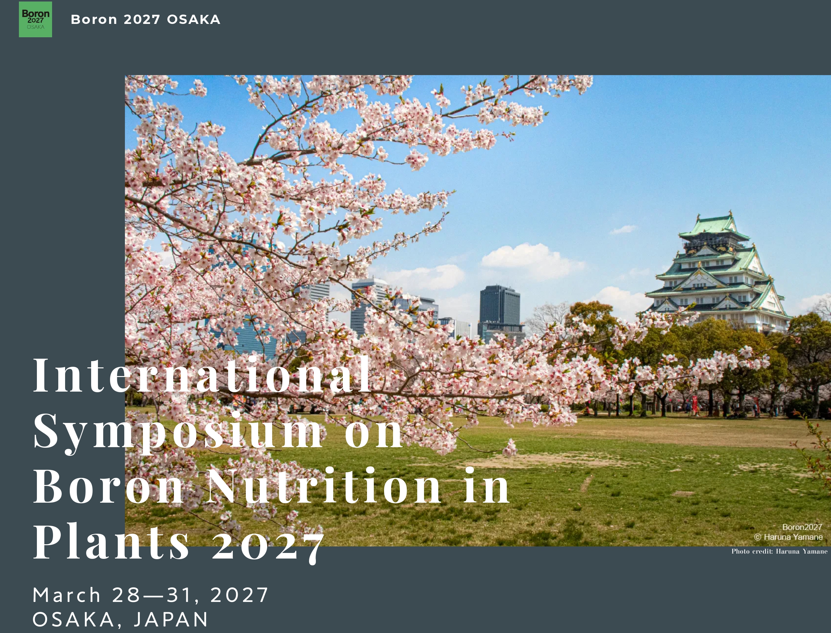 BORON 2027_page-0001