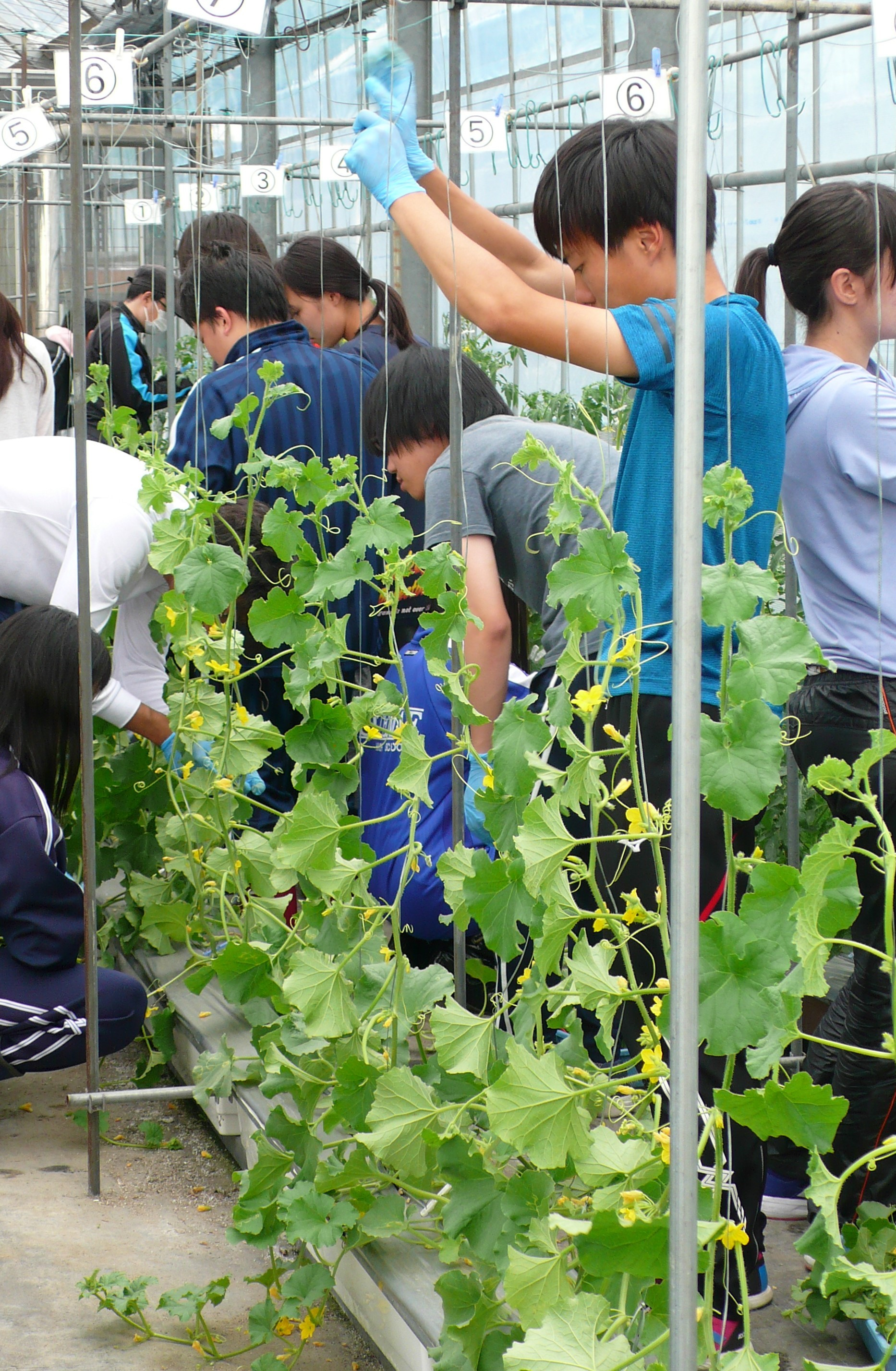 値下げ【赤本27年分】大阪公立大学(理学部・工学部・農学部・獣医学部