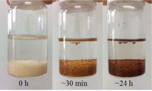 反応液中の陰イオン交換樹脂-2