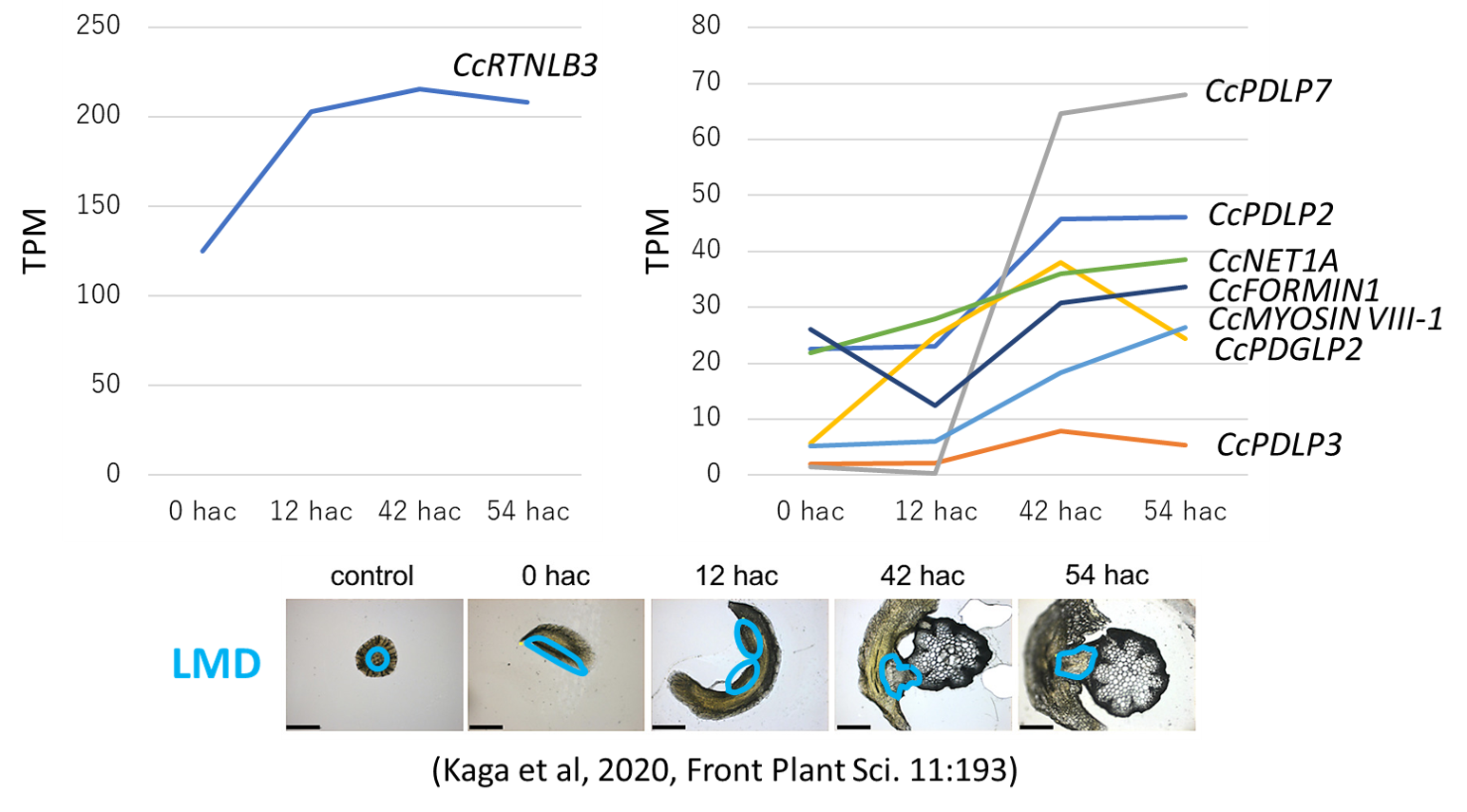PD genes upregulated