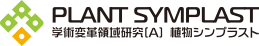 plant_symplast_banner