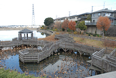 ため池の多面的機能（長池）