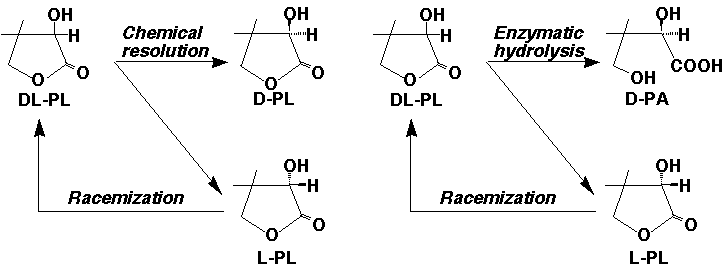 PL1