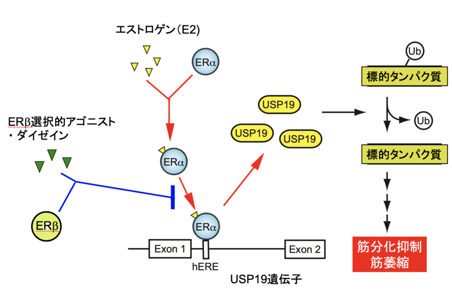 スライド1_50