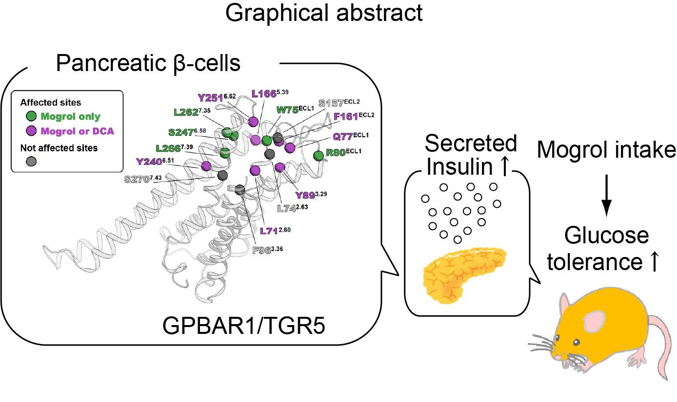 Graphical Abstract