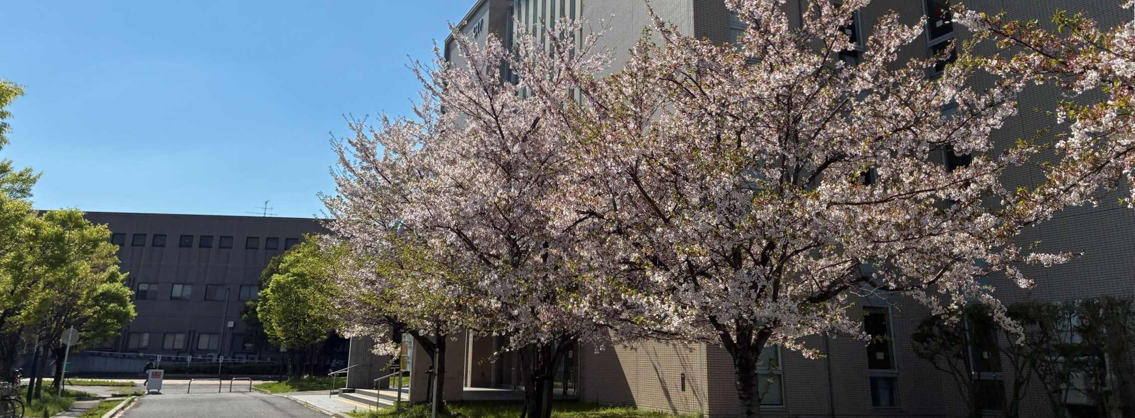 メインビジュアル１