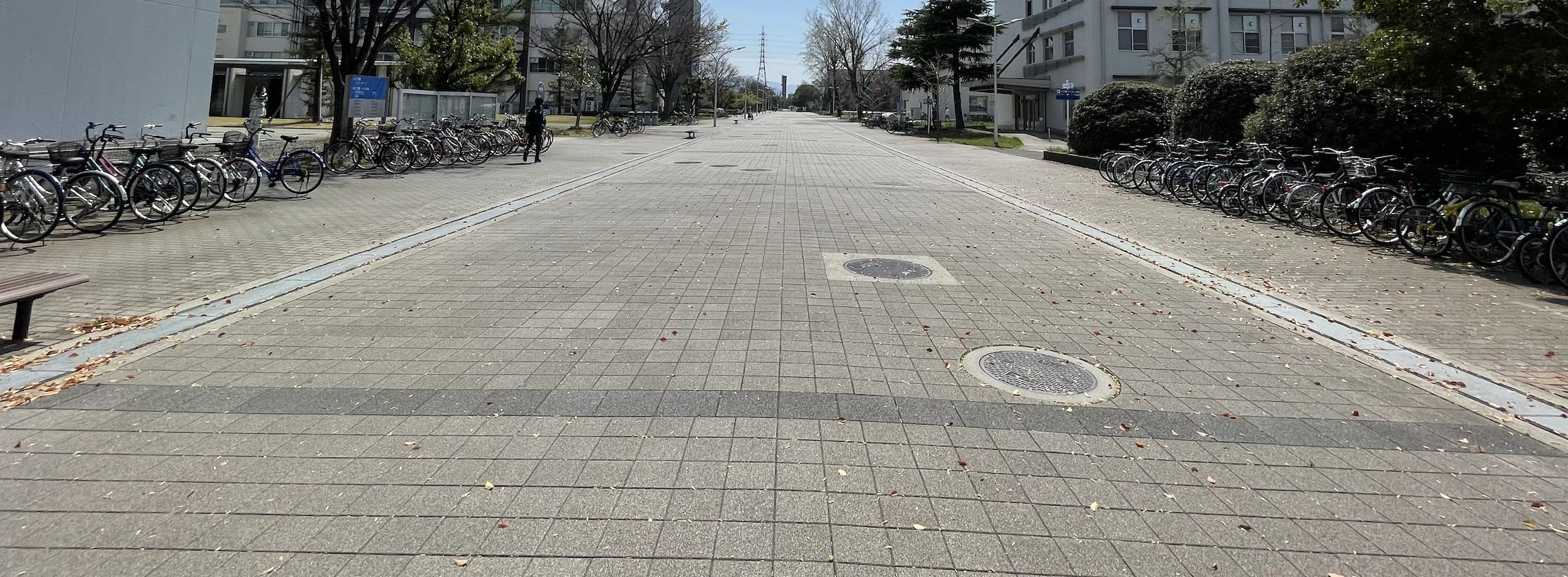 campus road 01