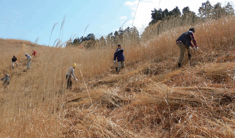 里地里山管理学実習