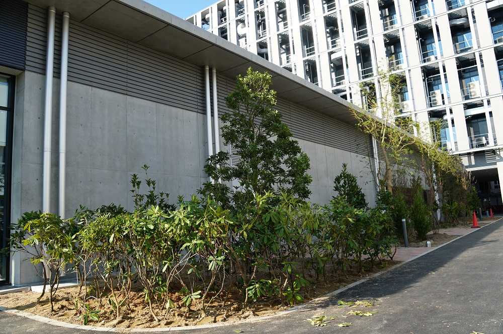 2★DSC04594