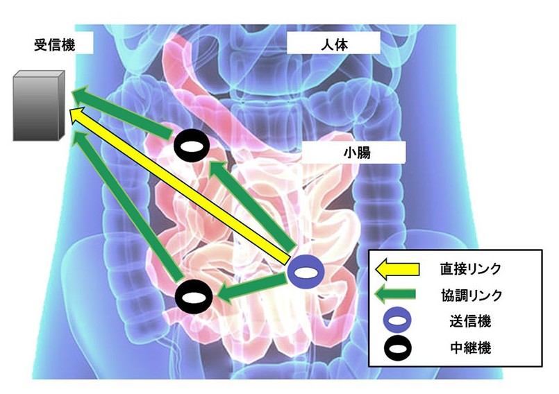 Fig.1_Anzai_Kobayashi