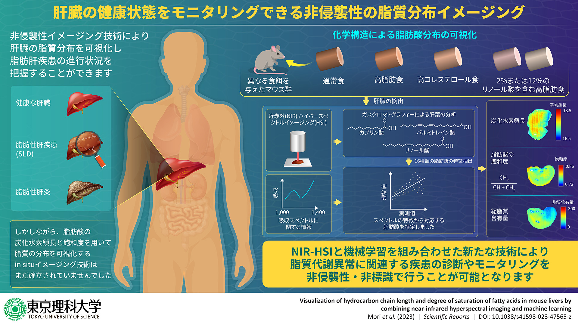 TUSCE_306_Infographic_JPN_FINAL