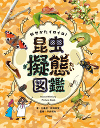 book_hirai241201