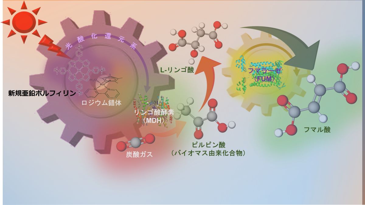 研究概要図