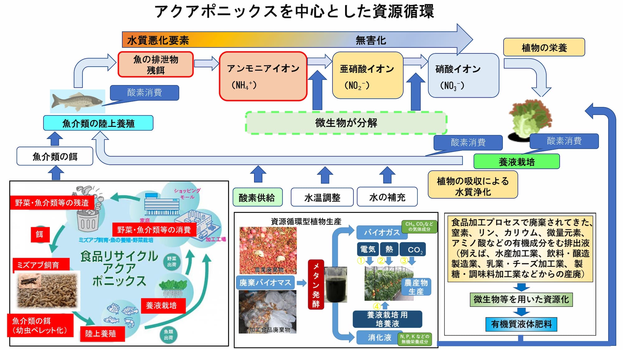 アクアポニックスを中心とした資源循環