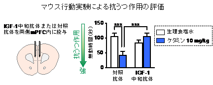 figure2