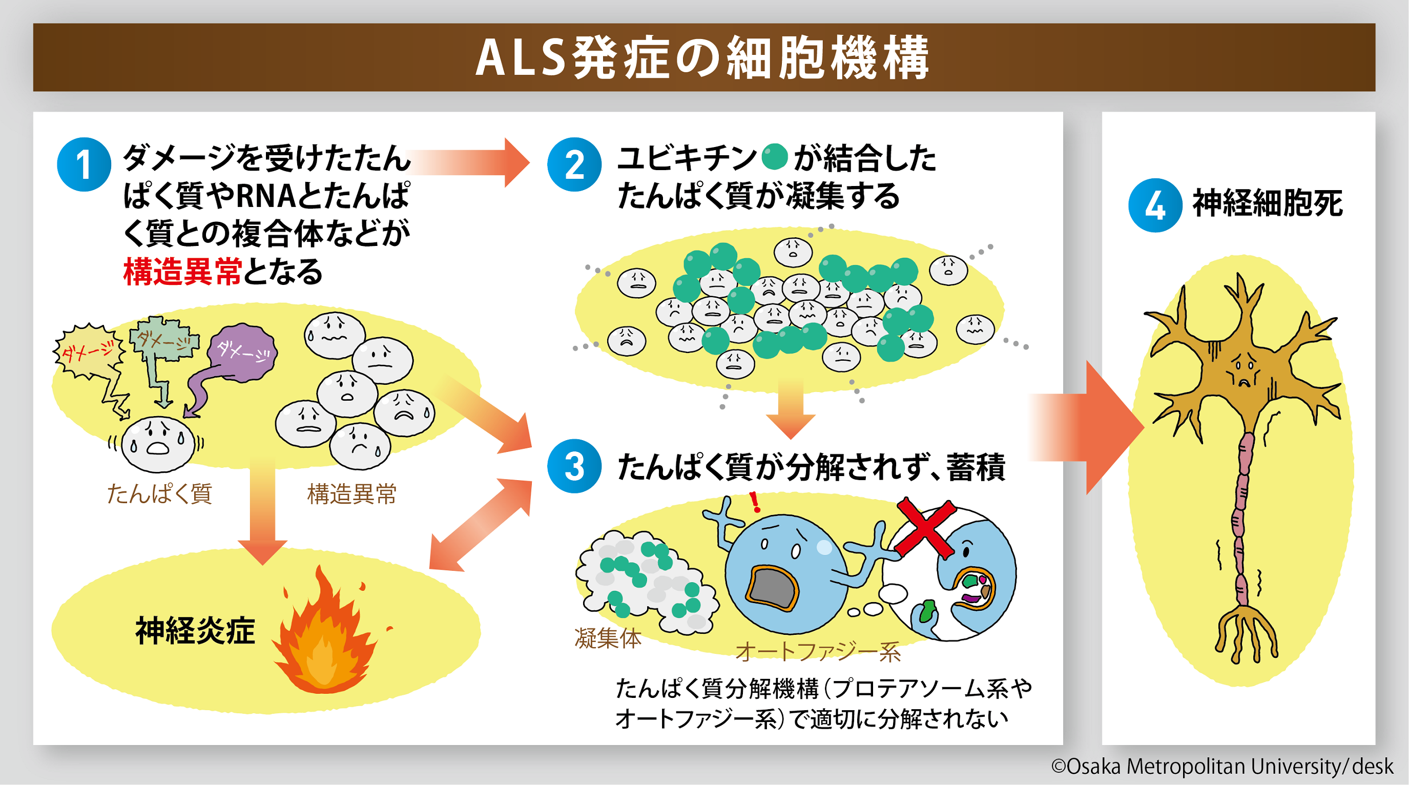 illust_tokunaga_0115