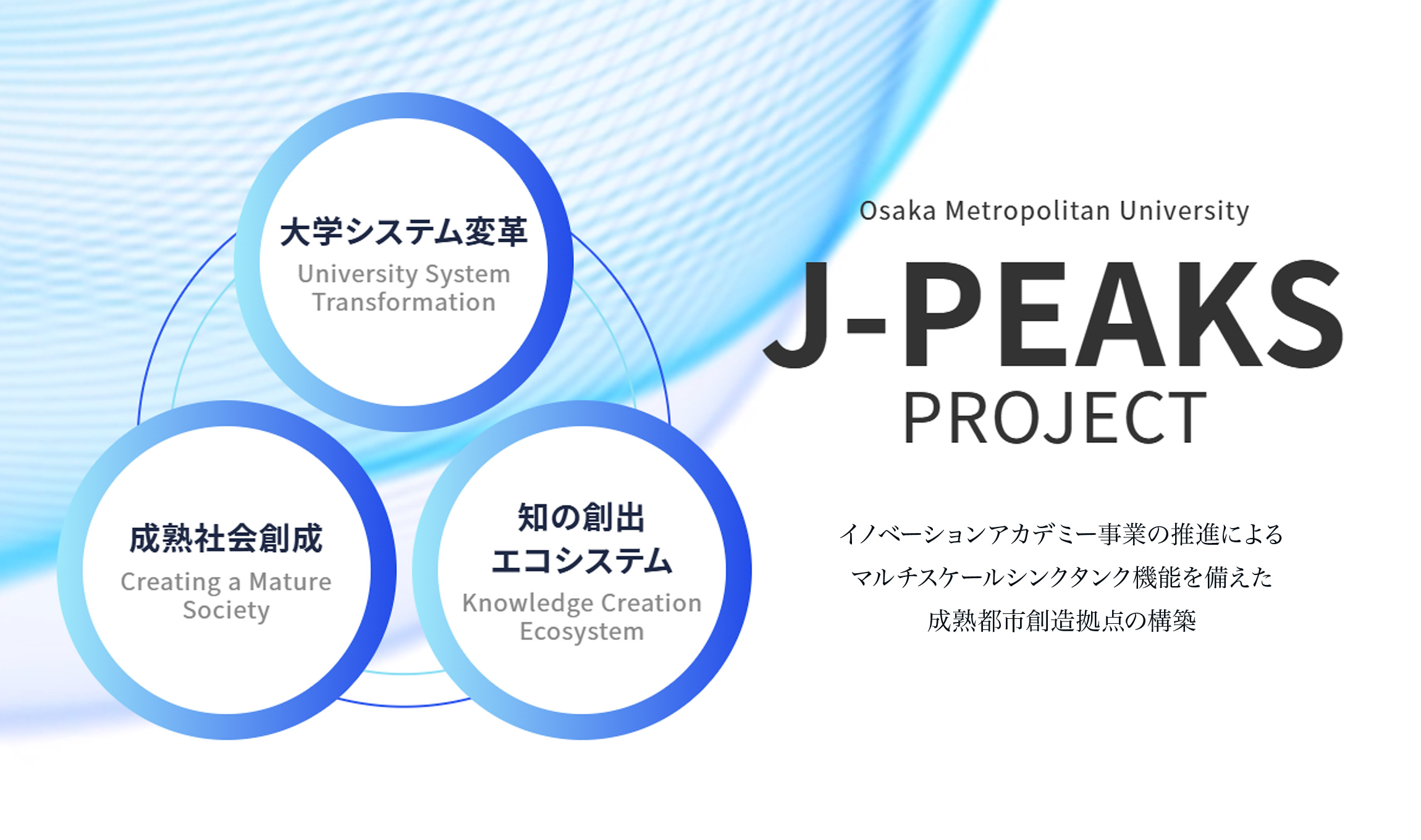 大阪公立大学 J-PEAKS事業