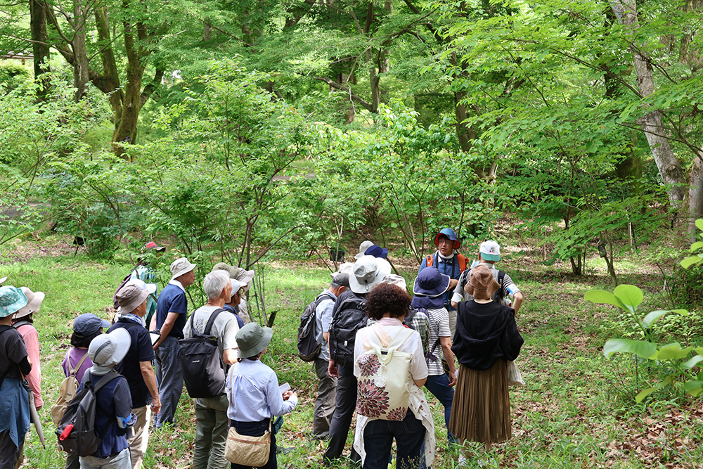 news_250522_syokubututayosei_tour