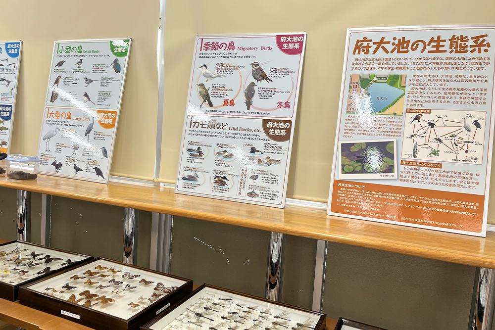news_kamikiri_4