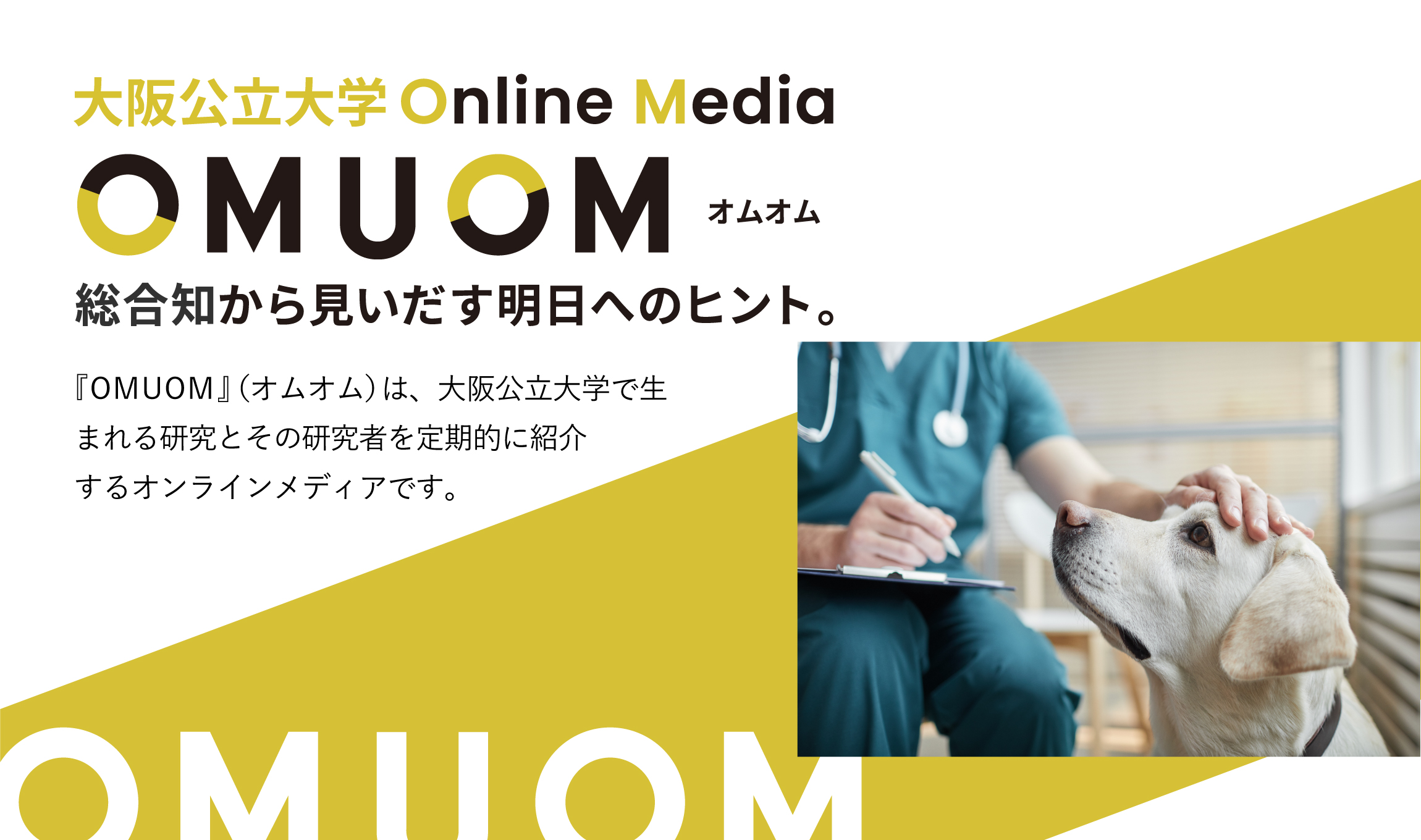 iPS細胞の活用先は人だけじゃない！イヌiPS細胞がもたらす多様な可能性