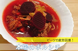 本場のボルシチ