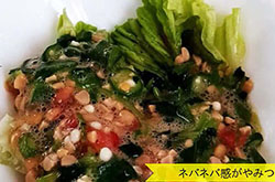 夏野菜と納豆のネバネバサラダ