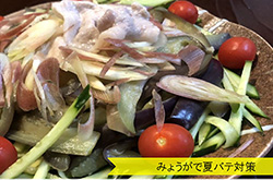 みょうがでさっぱり冷しゃぶ