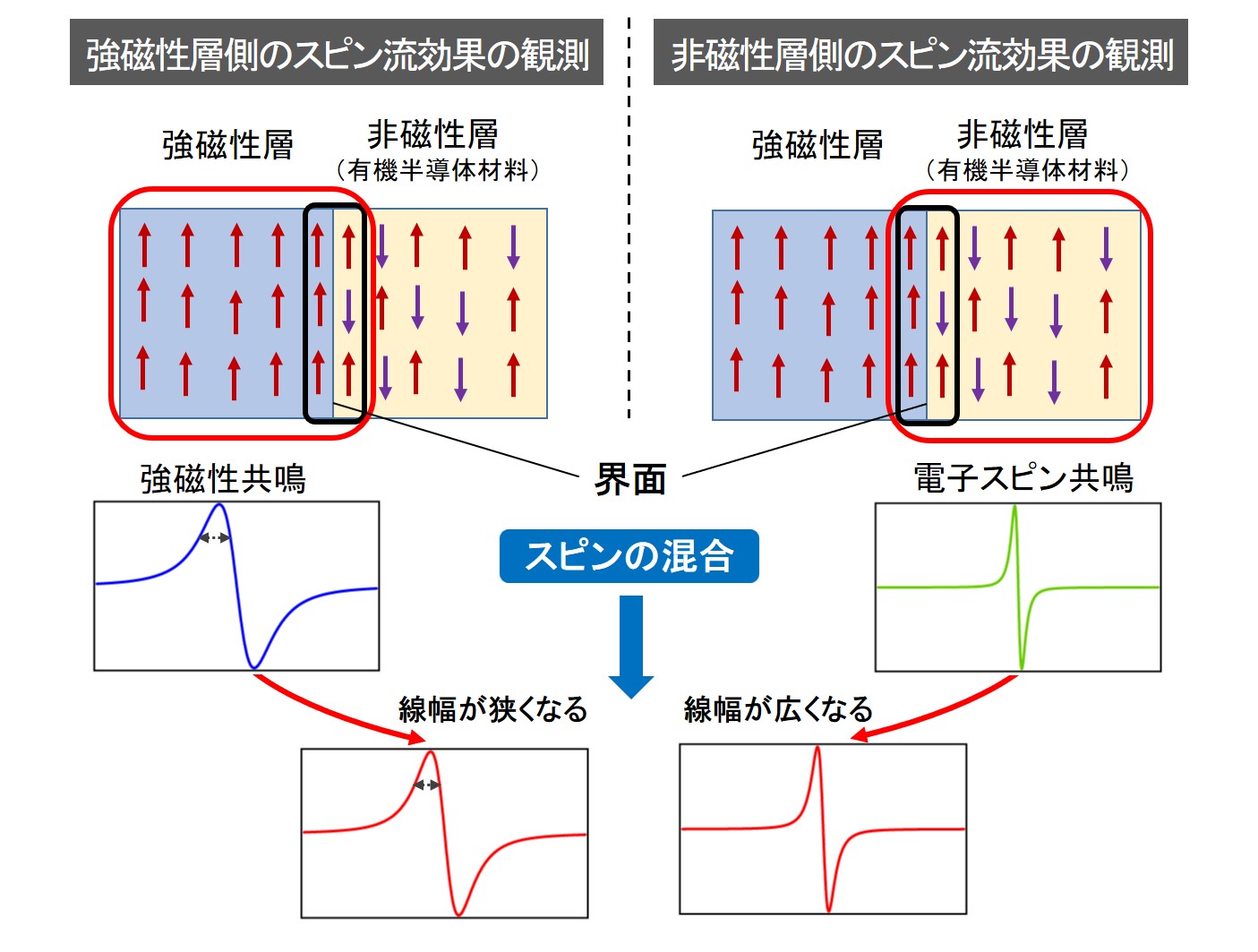 pr202410_kanemoto01