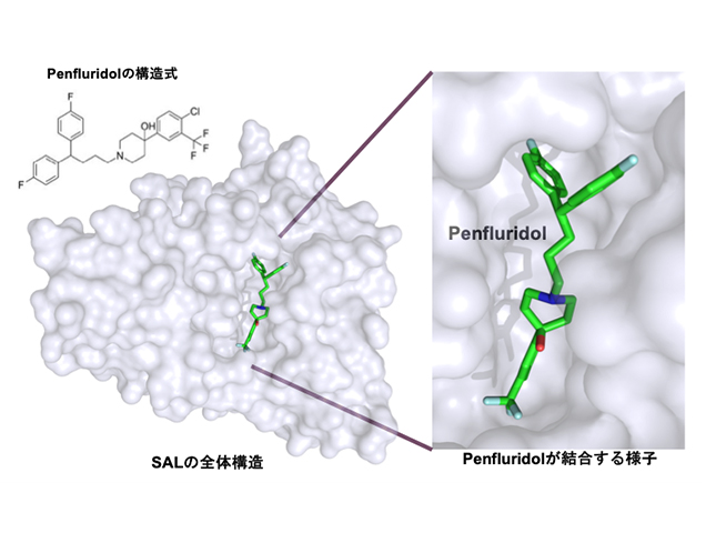 pr20250414_kamitani_top