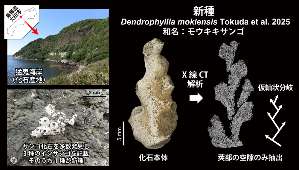 pr20250718_ezaki01