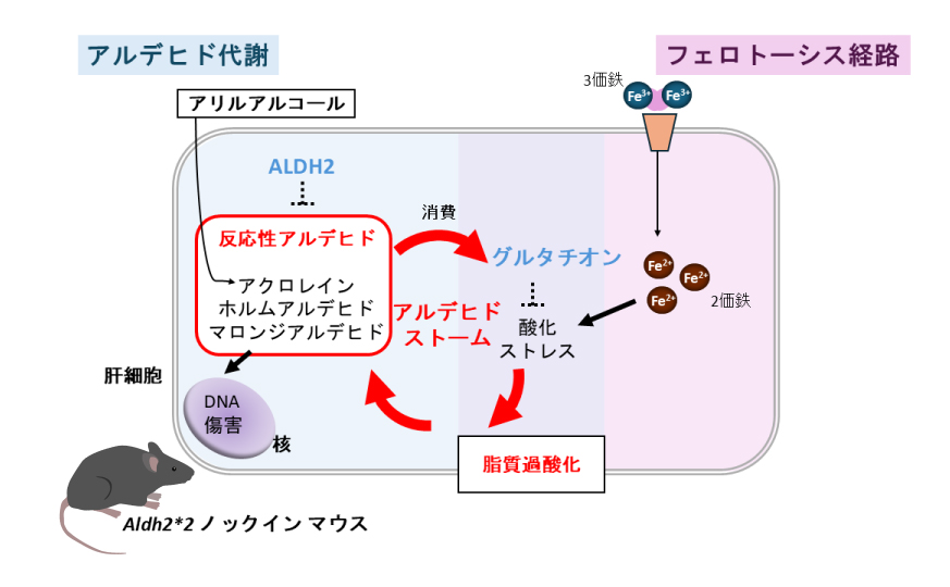 pr202509_izawa01